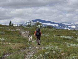 Girjasdomen ifrågasätts