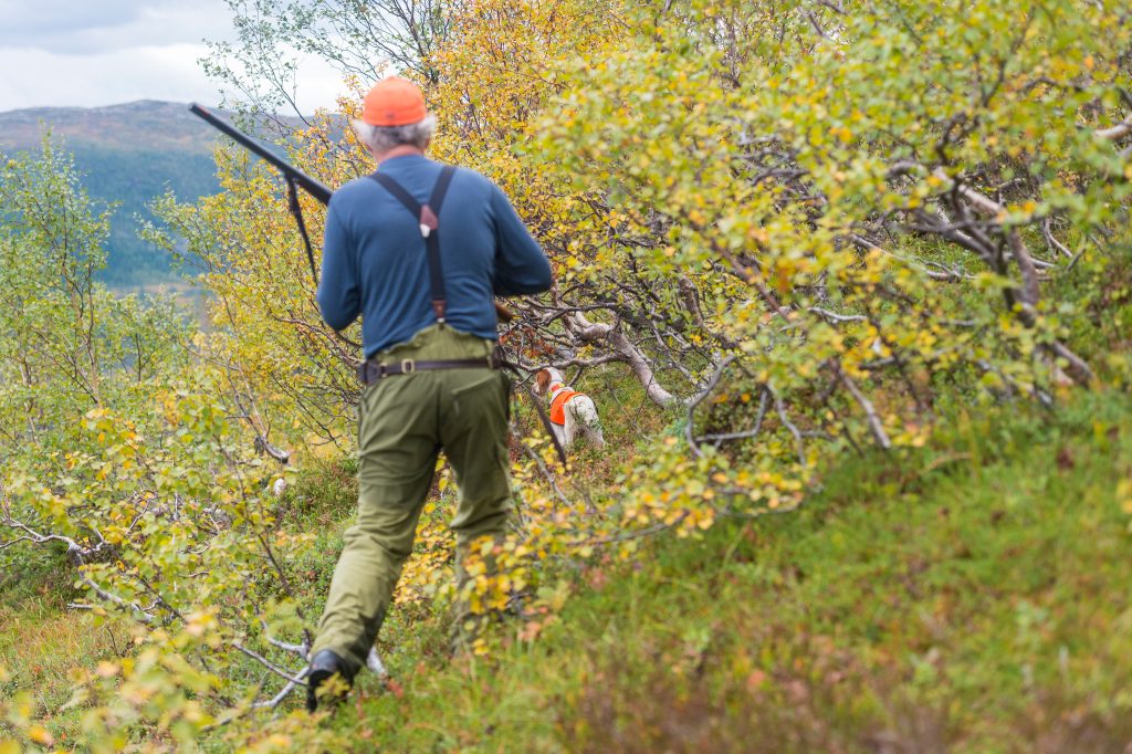 ”Vill inte regeringen att svenska folket ska få jaga i fjällen?”