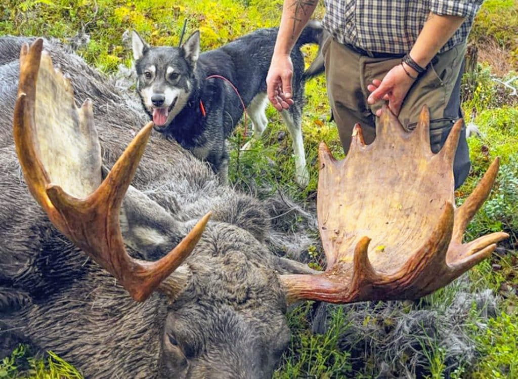 Markus fällde rekordälg för sin egen hund