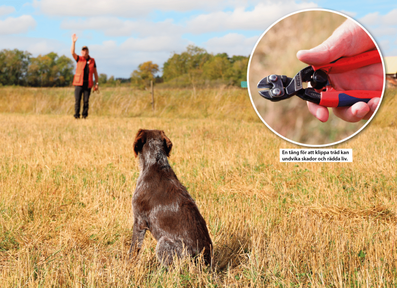 Bild på Stefan med handen öppen till sin hund för att signlera till sin hund samt en bild på en tång inringad med texten "en tång för att klippa tråd kan undvika skador och rädda liv"
