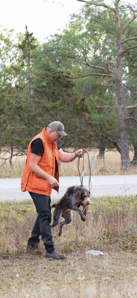 Bild på Stefan som trycker ner eltråd med sin fot som tillåter hunden att hoppa över stängslet, en viktig del i presentation över hur man tränar kring säkerhet med hunden
