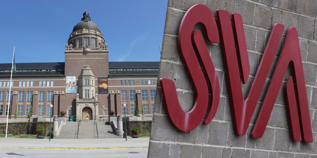 Fynden i frysboxen analyseras av SVA och Naturhistoriska riksmuseet